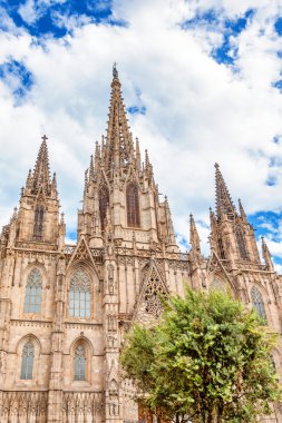 Barselona Katedrali Holy Cross ve Aziz Eulalia, Katalonya, İspanya patronu adanmış