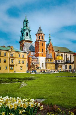 Wawel Kraliyet Kalesi, Krakow, Polonya. Kiliselerdeki bahar çiçeklerinden manzara