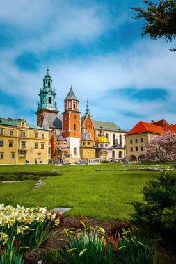Wawel Kraliyet Kalesi, Krakow, Polonya. Kiliselerdeki bahar çiçeklerinden manzara