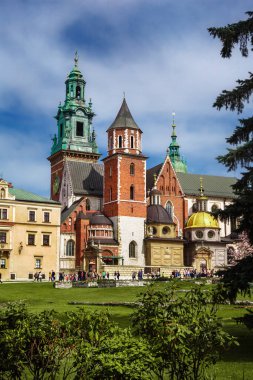 Wawel Kraliyet Kalesi, Krakow, Polonya. Kiliselerdeki bahar çiçeklerinden manzara