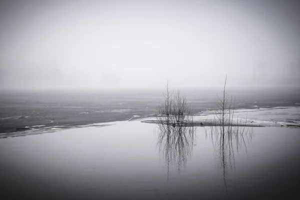 Fog and flood — Stock Photo, Image