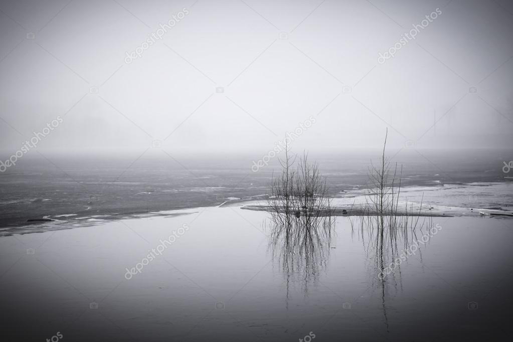 fog and flood
