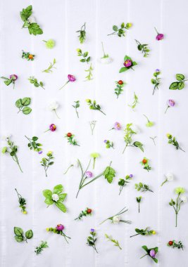 bahar çiçekleri beyaz arka plan üzerinde kümesi