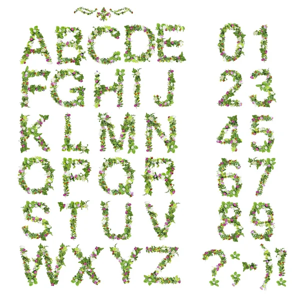 Spring Summer alphabet and number made of flower — Stock Photo, Image