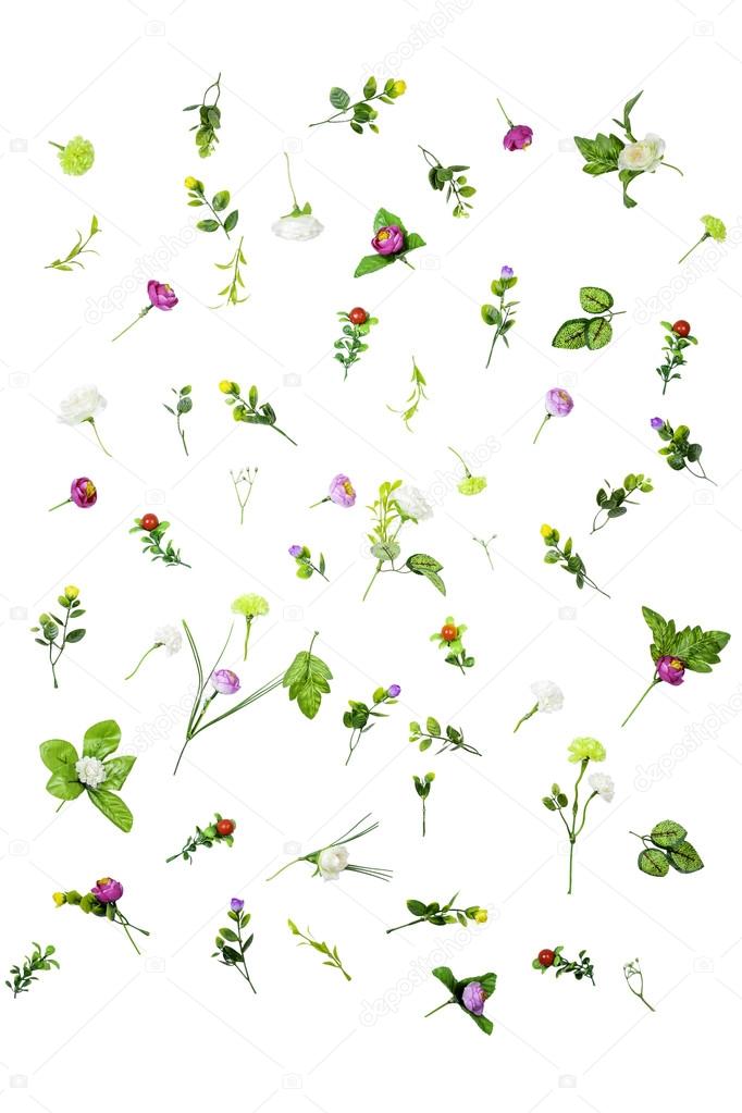 set of spring flowers isolated on white background
