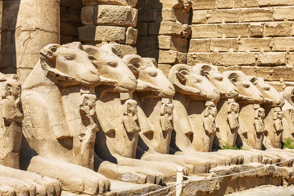 Templo de Karnak em Luxor, Egito — Fotografia de Stock