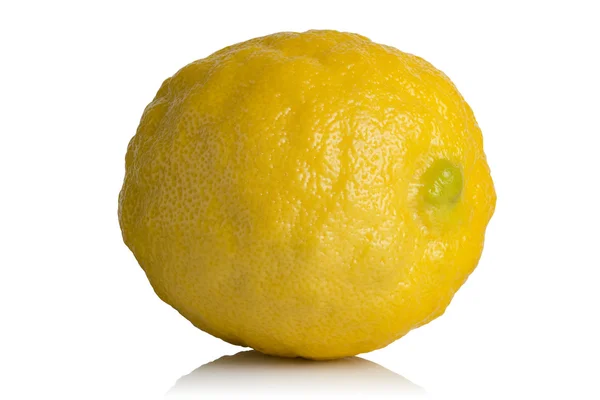 레몬의 과일 — 스톡 사진