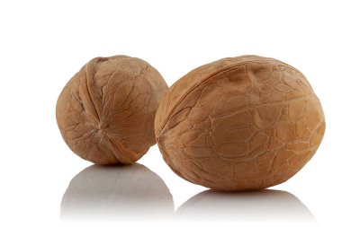 Beyaz bir arka planda yansımalı olgun cevizler..