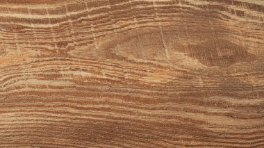 Eski bir çam ağacının yüzeyi