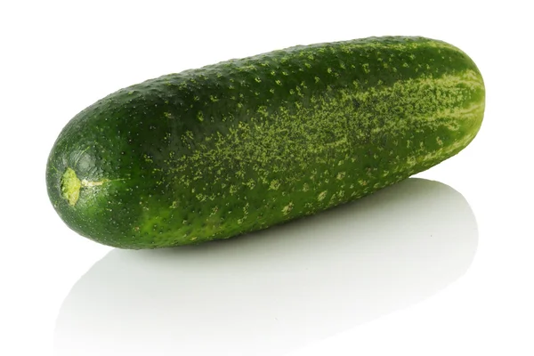 Ripe cucumber — Stock Photo, Image