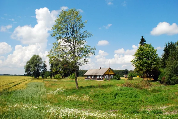 Gamla hus i litauiska byn — Stockfoto