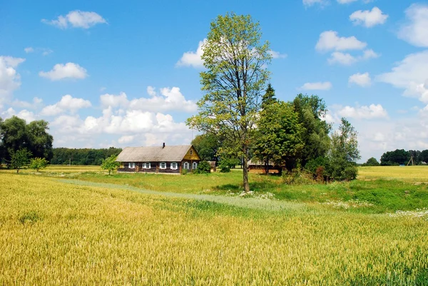 Altes Haus in litauischem Dorf lizenzfreie Stockfotos