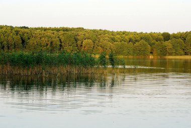 Lake beyaz gökyüzü yansımaları ile 