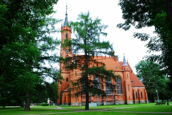 在 Druskininkai 市圣母玛利亚大教堂 — 图库照片