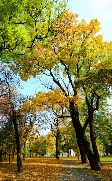 Séta a park a Dóm tér, Vilnius városában — Stock Fotó