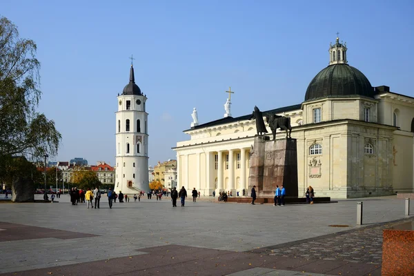 Vilnius Katedrali Litvanya Ana Kilisesi olduğunu — Stok fotoğraf