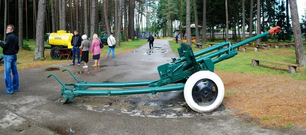 Cannon in the Grutas park near Druskininkai town — Stock Photo, Image