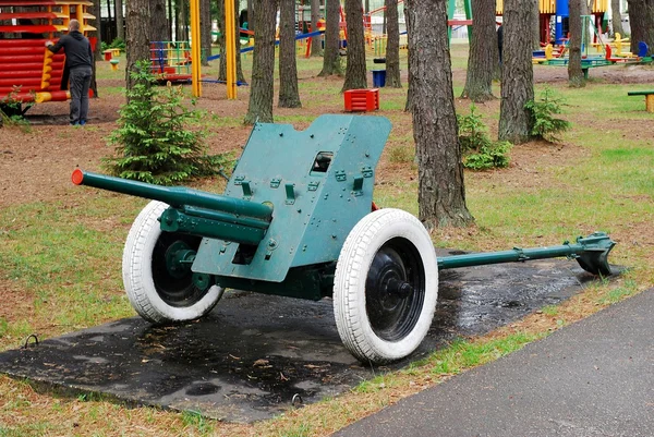 Cannon in the Grutas park near Druskininkai town — Stock Photo, Image
