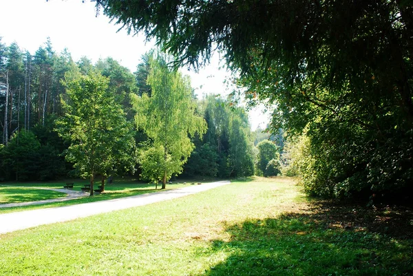 Park i i stadsdelen skog Anyksciai i Litauen. — Stockfoto