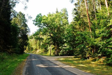 Asfalt yol orman Anyksciai bölgesinde
