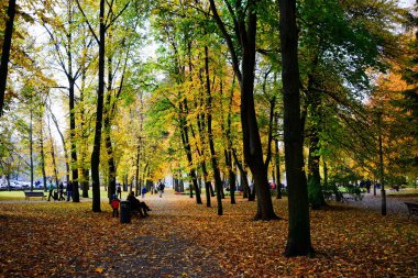 Vilnius City park katedral Meydanı'nda yürüyüş
