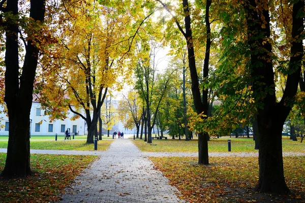 Promenade dans le parc de la place de la Cathédrale à Vilnius — Photo