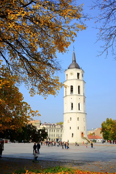 Walking in Cathedral square at autumn in Vilnius city on October 12, 2014 — Stock Photo, Image
