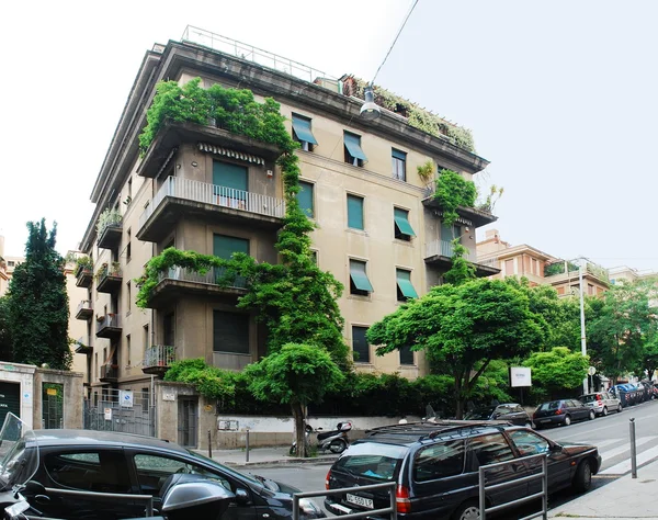 Rome city old house and green trees