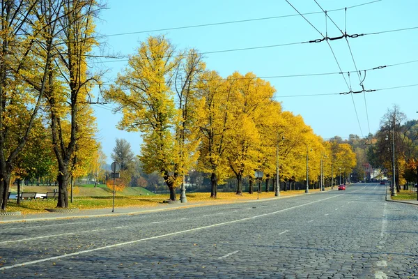 Vilnius şehir merkezinde sonbahar ağaçlar — Stok fotoğraf