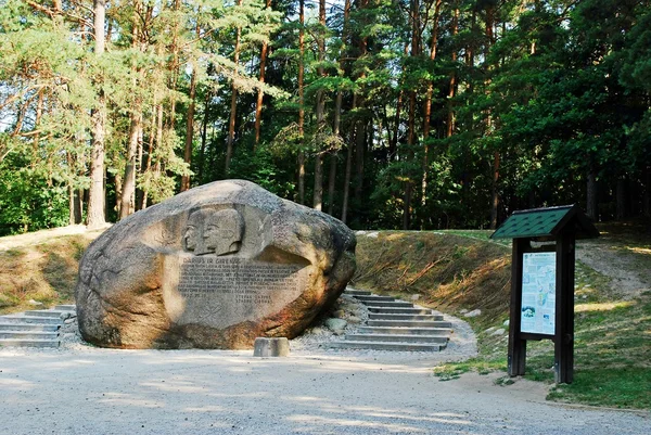 İkinci en büyük rock, Anyksciai district, Litvanya Puntukas — Stok fotoğraf