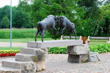  Druskininkai şehrinde köprüde iki koç