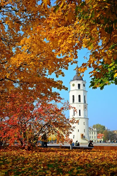 Walking in Cathedral square at autumn in Vilnius city on October 12, 2014 — Stock Photo, Image