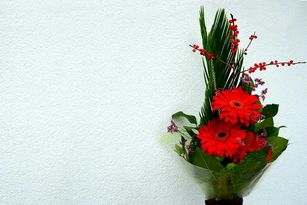 Százszorszép virág piros gerbera és a levelek illata — Stock Fotó