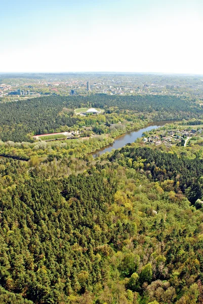 Vilnius city stolicy Litwy ptaka — Zdjęcie stockowe