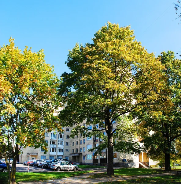 Zverynas区的汽车和住宅 — 图库照片