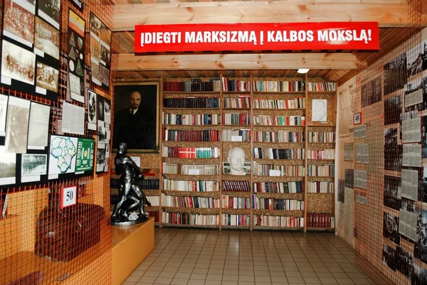 在图书馆附近 Druskininkai 格鲁塔斯公园 — 图库照片