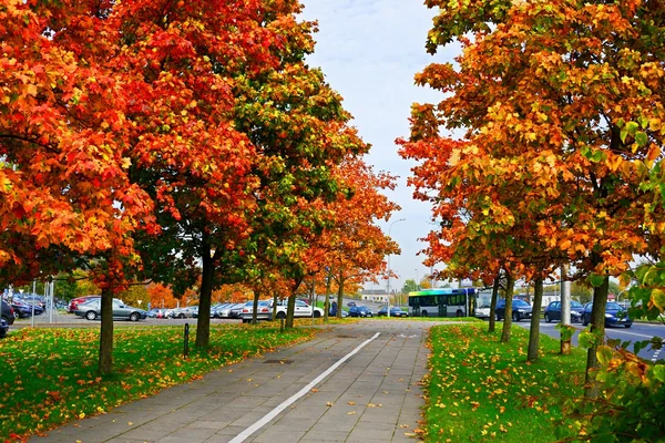 Vilna vista de la calle de la ciudad en otoño — Foto de Stock