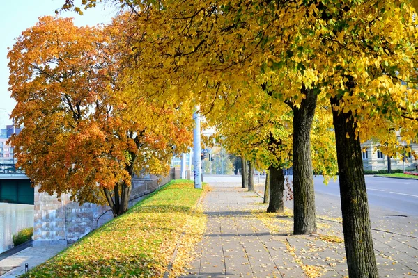 Neris River Board. Herbstzeit in Vilnius — Stockfoto