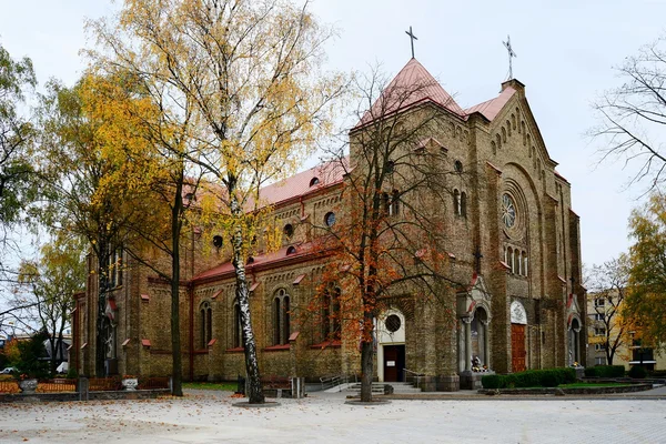 Obefläckade avlelse av Jungfru Maria — Stockfoto