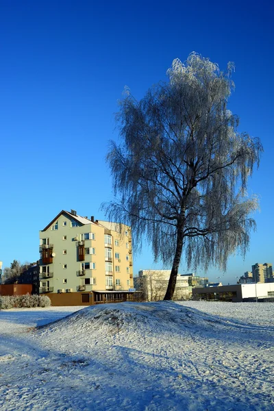 Город Вильнюс Пасилайчский район в зимнее время — стоковое фото