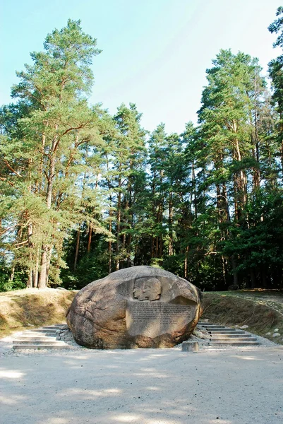 หินที่ใหญ่เป็นอันดับสองในเขต Anyksciai ของลิทัวเนีย — ภาพถ่ายสต็อก