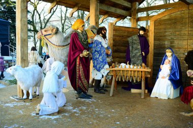 Vilnius Litvanya cathedral city başkenti yer Noel dekorasyon