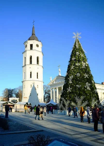 Vilna capital de la ciudad de Lituania catedral vista lugar —  Fotos de Stock