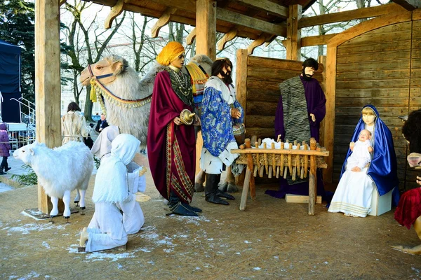 Vilnius capitale della Lituania cattedrale luogo decorazione natalizia — Foto Stock