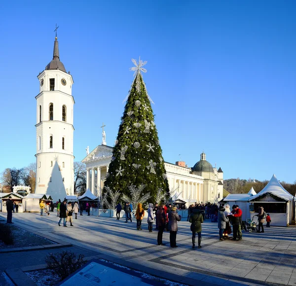 Vilnius staden huvudstad i Litauen katedralen placera Visa — Stockfoto