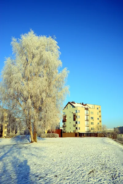 Vilnius şehir Pasilaiciai bölgesi kış zaman — Stok fotoğraf