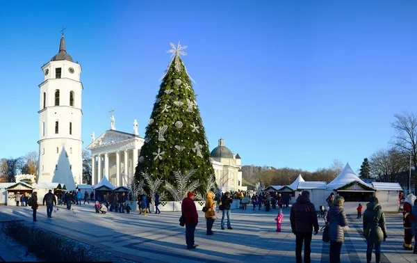 Vilnius city capital of Lithuania cathedral place view — Stock Photo, Image