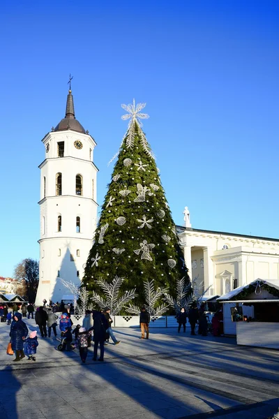 Vilnius staden huvudstad i Litauen katedralen placera Visa — Stockfoto