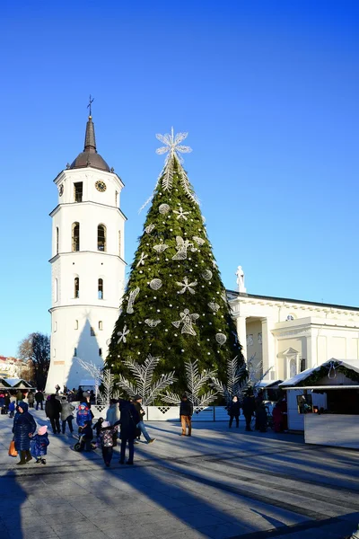 Vilnius city capital of Lithuania cathedral place view — Stock Photo, Image