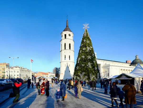 Vilna capital de la ciudad de Lituania catedral vista lugar — Foto de Stock